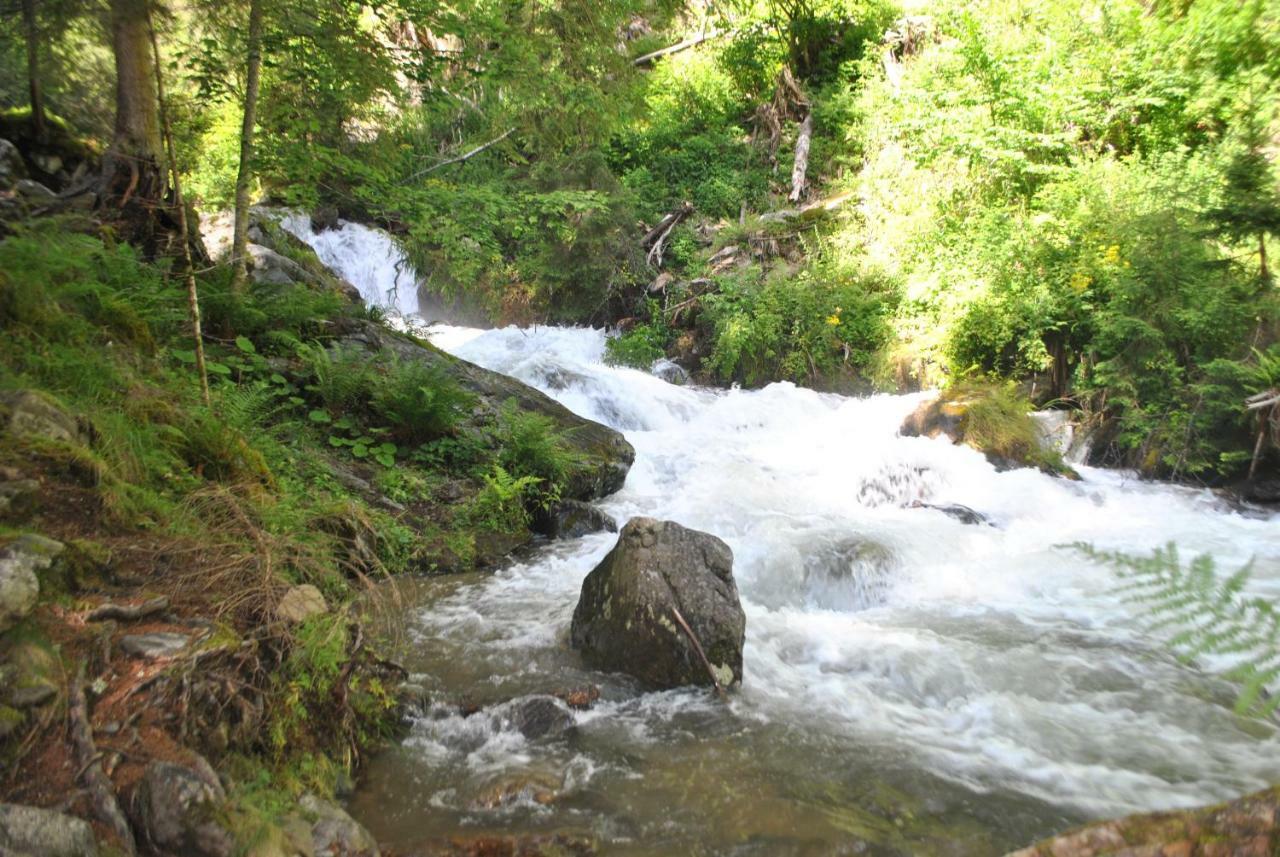 Apartment Zum Wasserfall Krakaudorf Extérieur photo