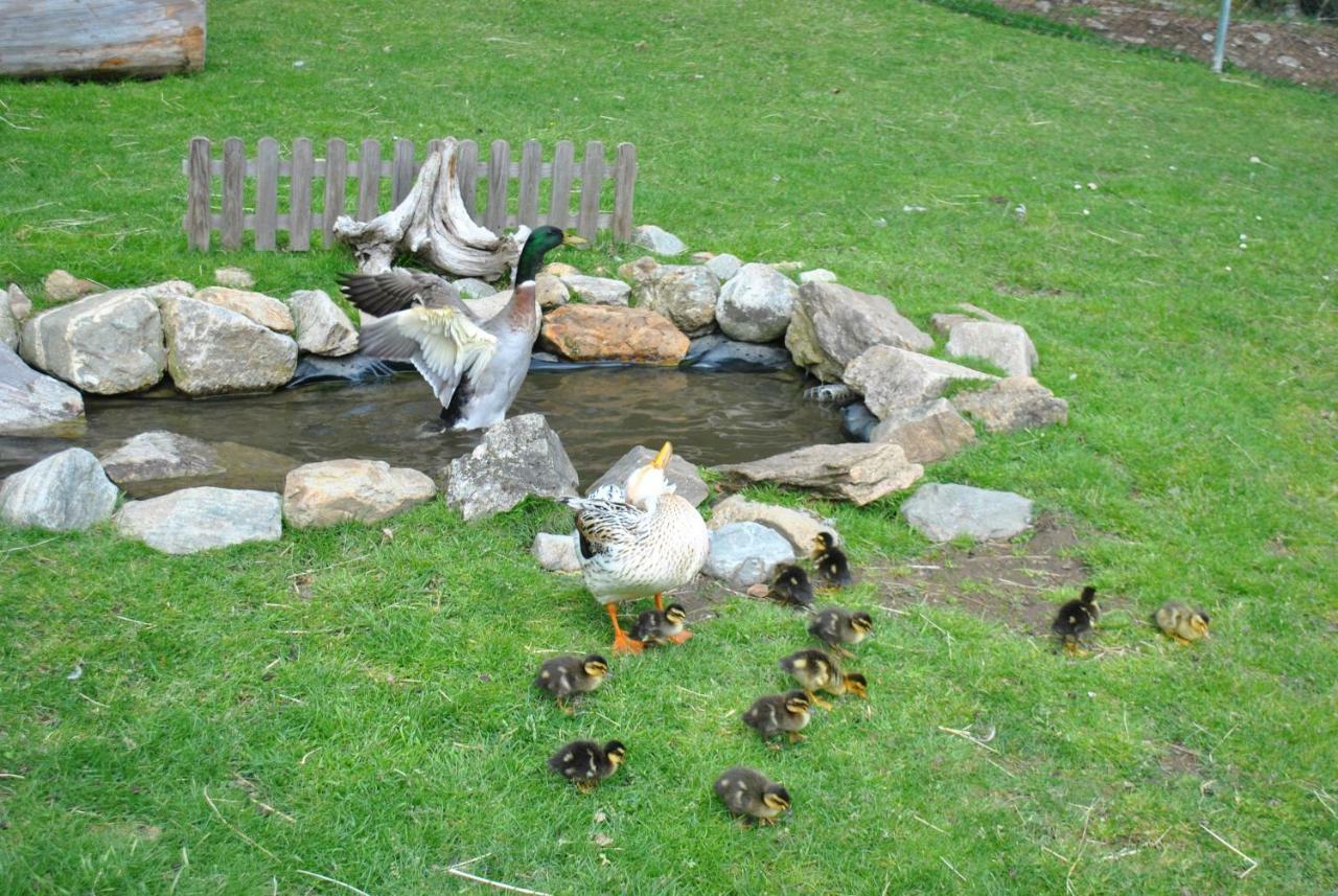 Apartment Zum Wasserfall Krakaudorf Extérieur photo