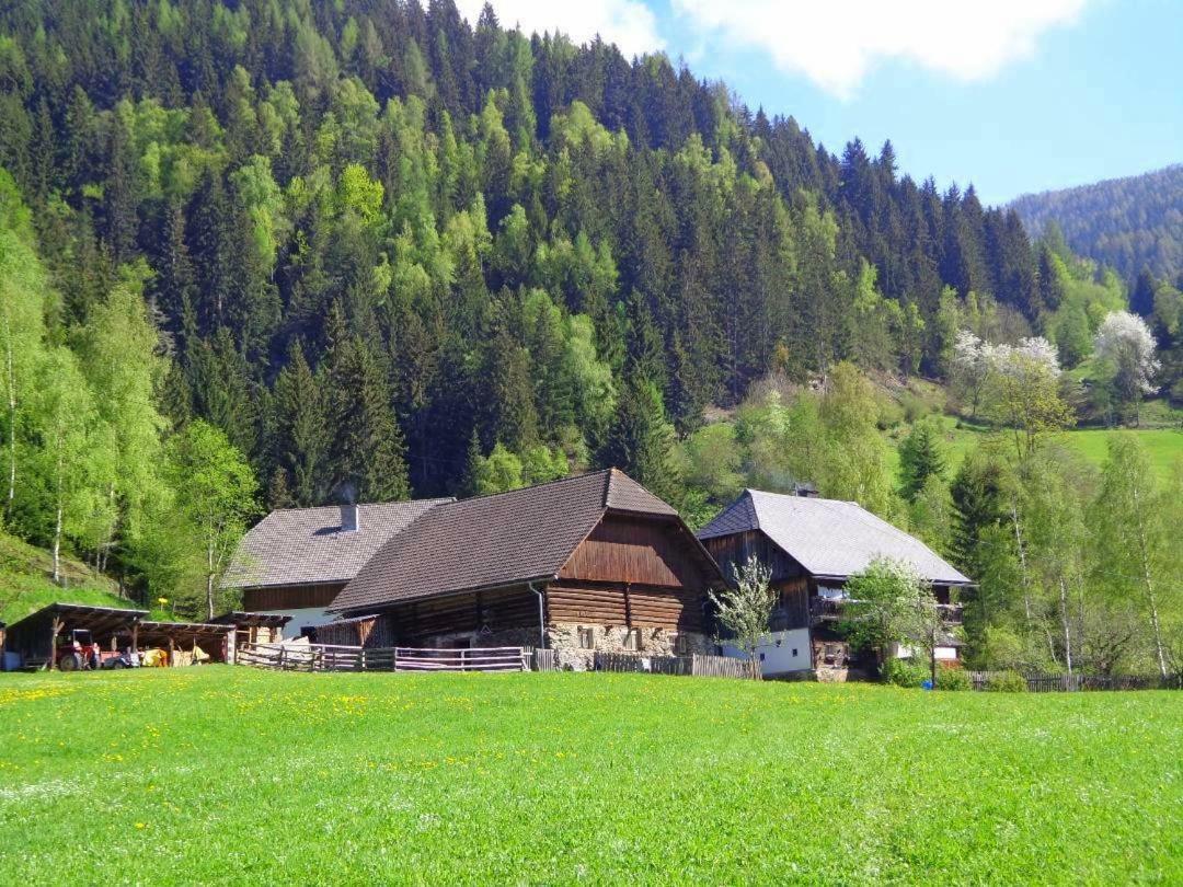 Apartment Zum Wasserfall Krakaudorf Extérieur photo