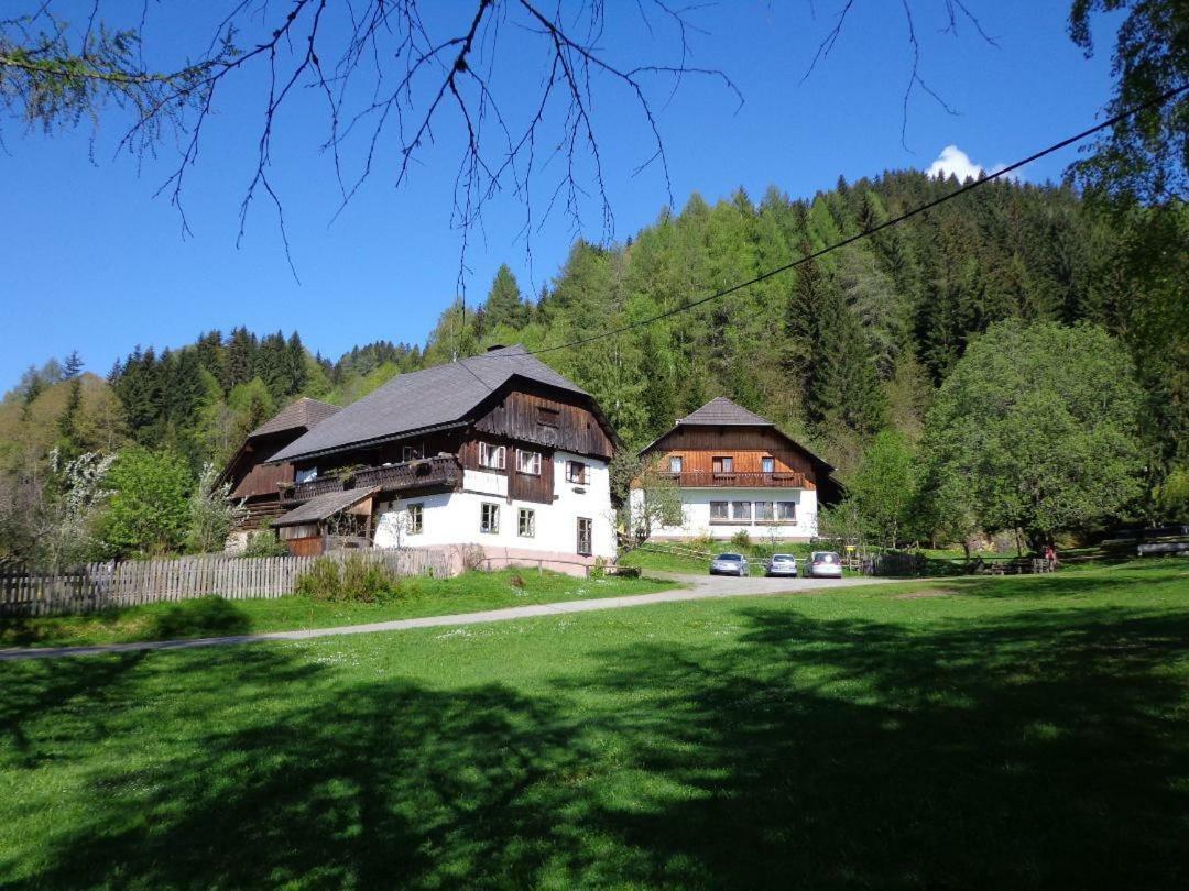 Apartment Zum Wasserfall Krakaudorf Extérieur photo