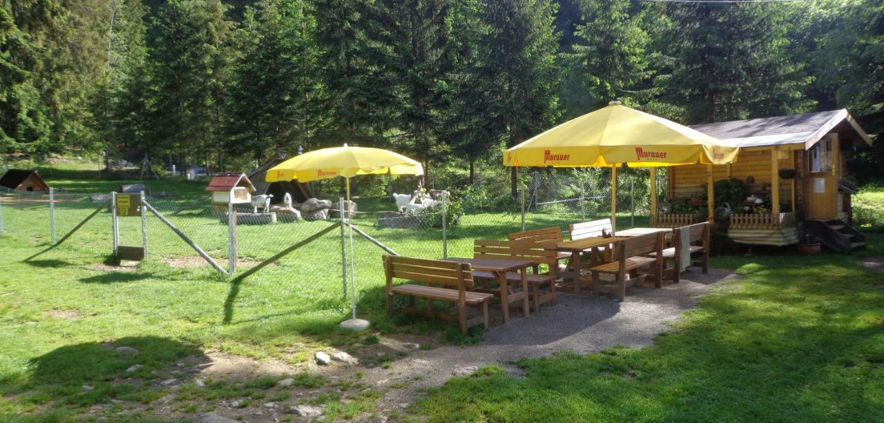 Apartment Zum Wasserfall Krakaudorf Extérieur photo