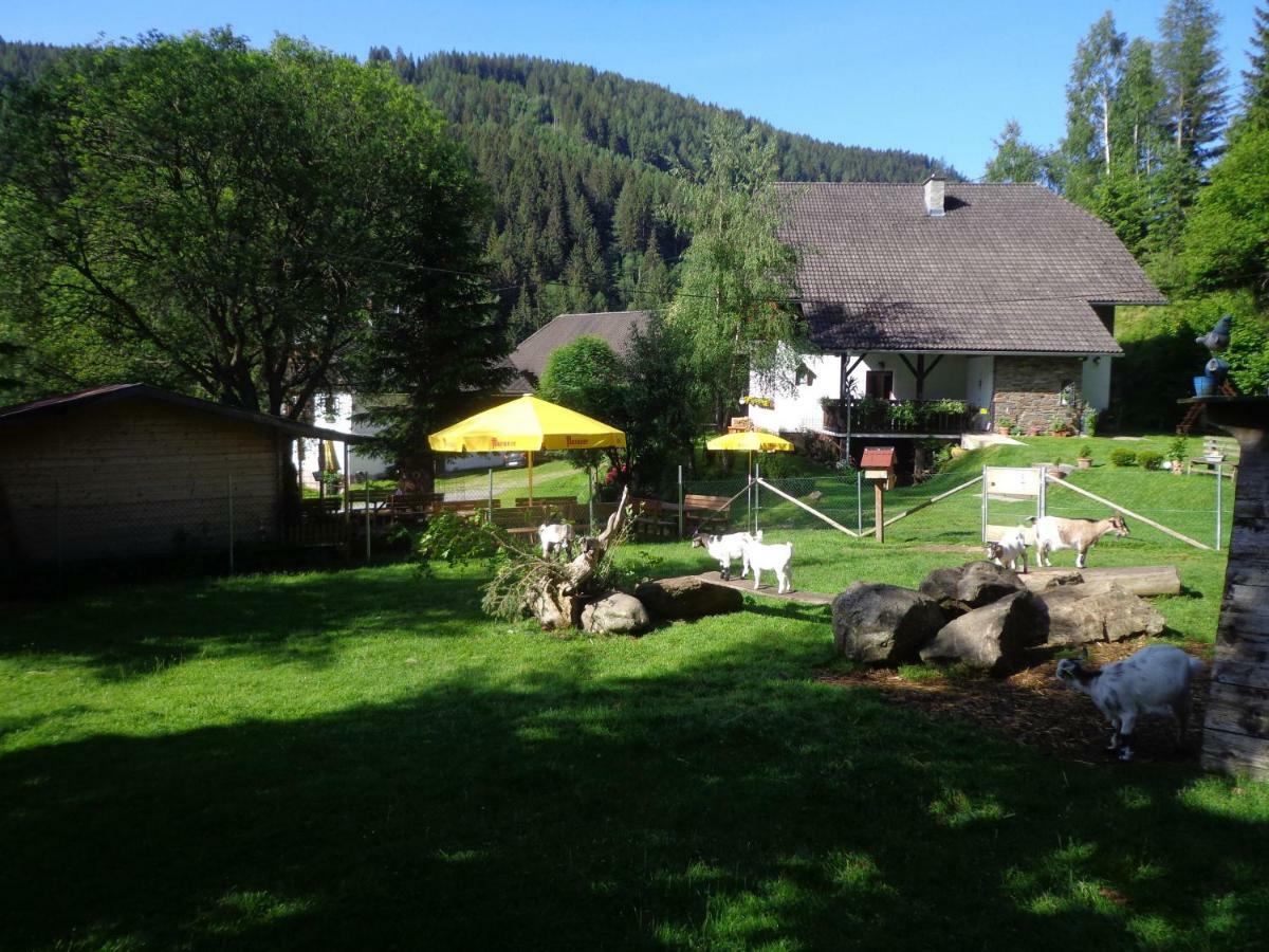 Apartment Zum Wasserfall Krakaudorf Extérieur photo